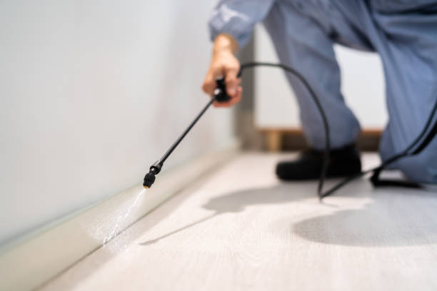 Licensed Cockroach Control service in Middletown, IN - Nex Pest Control