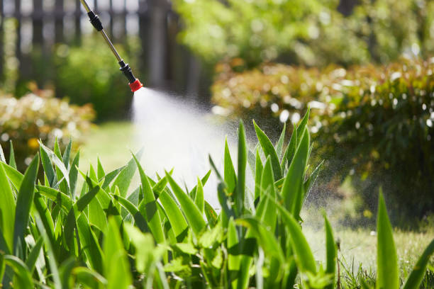 24/7 Emergency Cockroach Control experts in Middletown, IN
