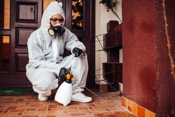 Reliable Cockroach Control contractor in Middletown, IN by Nex Pest Control